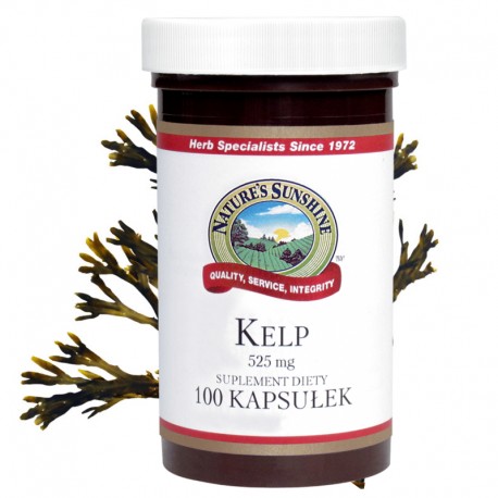 KELP WODOROSTY MORSKIE (Kelp) - bogate źródło jodu, witamin i minerałów